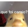 que foi caraio?