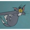 Tom and jerry 13