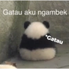 Gelap-Gelap 5