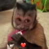 George Monkey🐒🐒 8
