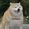 barbaro