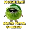 Memes Daily 6