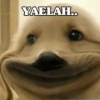 YAELAH..