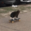 Bye О