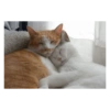 This could be us 25