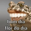 bom dia
flor do dia