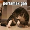pertamax gan
