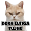 DEKH LUNGA TUJHE