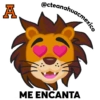 Leonel CTE Anáhuac México 19