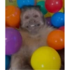 George Monkey🐒🐒 15