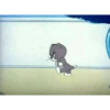 Tom and jerry 8
