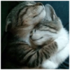 This could be us 20