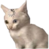 Apenas os melhores memes 11