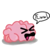 THE neuroSCIENTIST 7