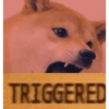 TRIGGERED