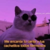 @frases_con_gatitos Me encanta tu carita y tus cachetitos todos hermosos