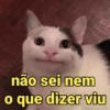 não sei nem
o que dizer viu