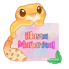 🦎💕Gecko Aurora💕🦎 14