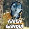 AAILA GANDU!