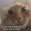yo creo que el guionista de mi vida se droga