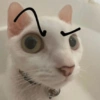 44