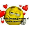 q linda cara te pareces al amor demivida