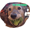 to com fome