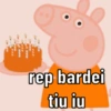 MEMES DA PEPPA PIG 🐽 13