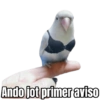 Ando jot primer aviso