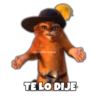 Gato con Botas Random 8