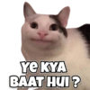 YE KYA BAAT HUI?