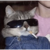 GATITOS RANDOMM 9