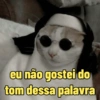eu não gostei do
tom dessa palavra