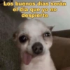 Los buenos días serán el día que yo no despierte