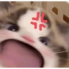 ㅜ 10