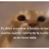 Es difícil encontrar el trabajo de tus
sueños cuando realmente tu sueño
es no hacer nada