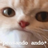 *pensando ando*