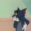 Tom and jerry 22