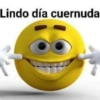 Lindo día cuernuda