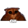 Gato con Botas Random 13
