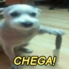 CHEGA!