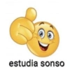 estudia sonso