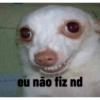 eu não fiz nd
