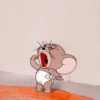 Tom and jerry 14