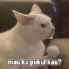 mau ku pukul kau?