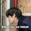 BODOH KALI KU TENGOK