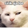 sirik aja loe