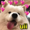 TÁ APAIXONADO? TOMA 💖 5