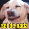 sei de nada