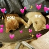you wholesome heart.memes me